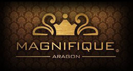 Magnifique logo