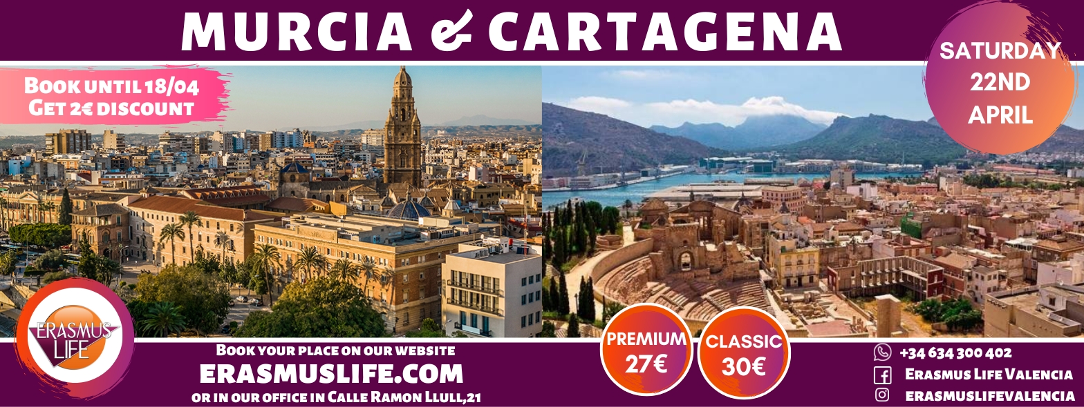 erasmus-valencia.com