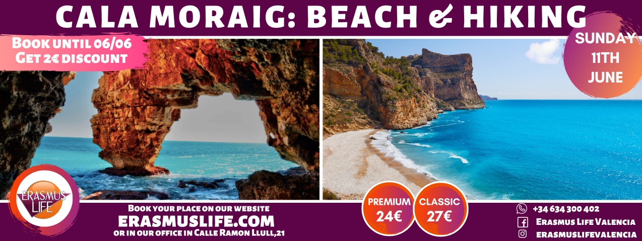 erasmus-valencia.com