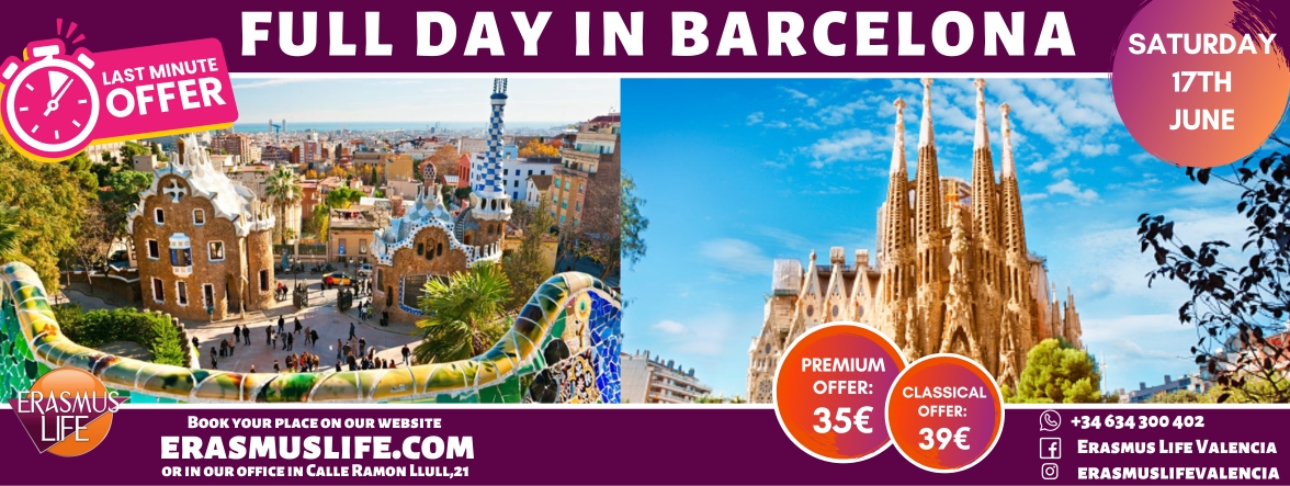 erasmus-valencia.com