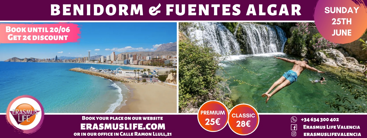 erasmus-valencia.com