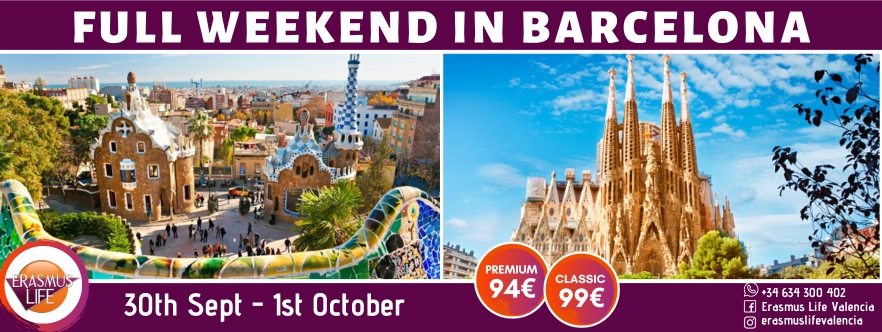 erasmus-valencia.com