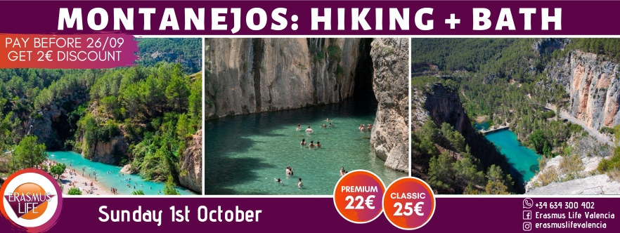 erasmus-valencia.com