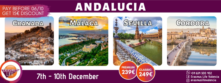 erasmus-valencia.com