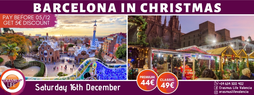 erasmus-valencia.com