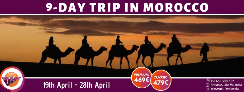 erasmus-valencia.com