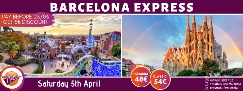 erasmus-valencia.com