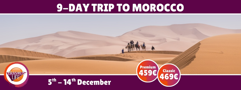 erasmus-valencia.com