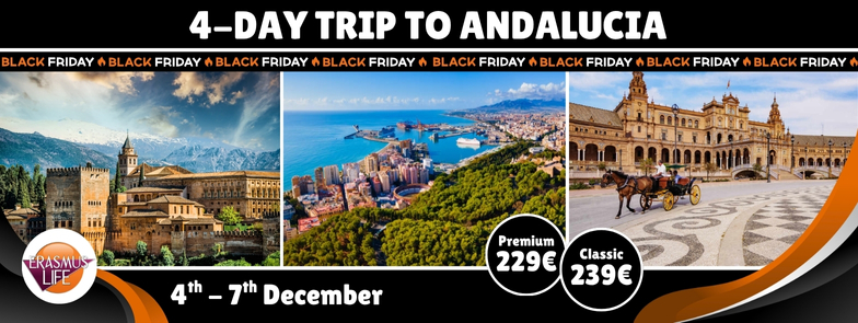 erasmus-valencia.com