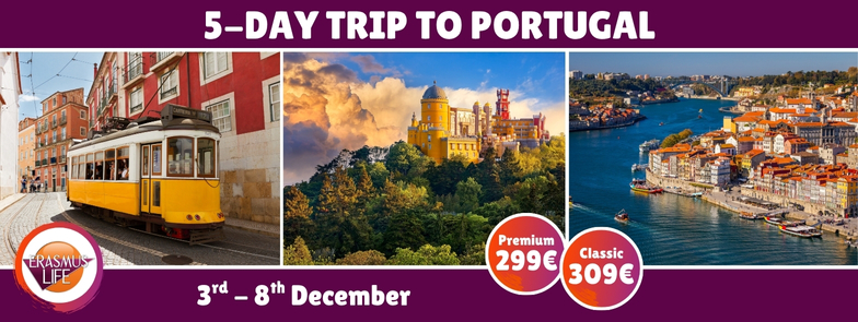 erasmus-valencia.com