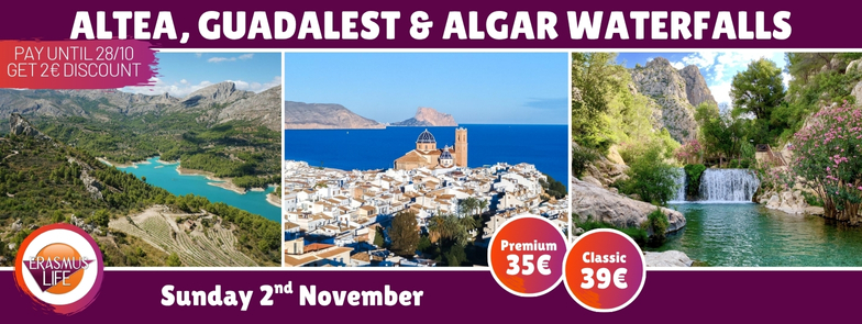 erasmus-valencia.com