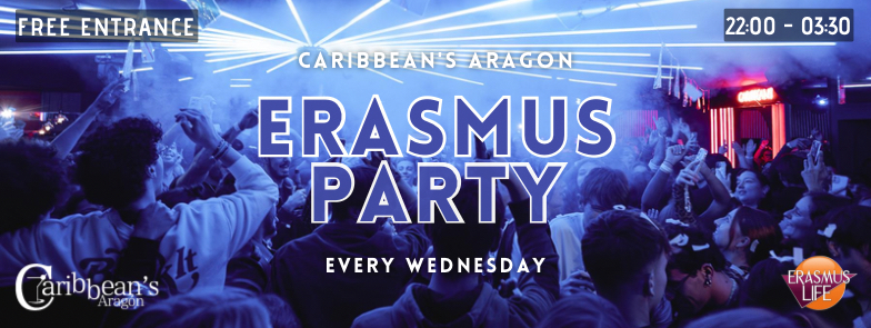 erasmus-valencia.com