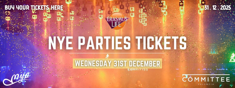 erasmus-valencia.com