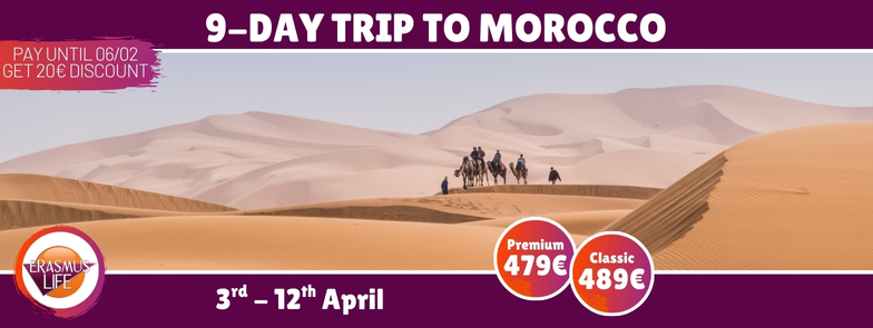 erasmus-valencia.com