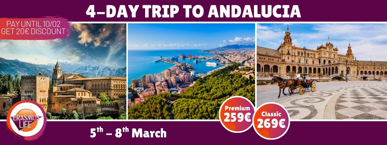 erasmus-valencia.com