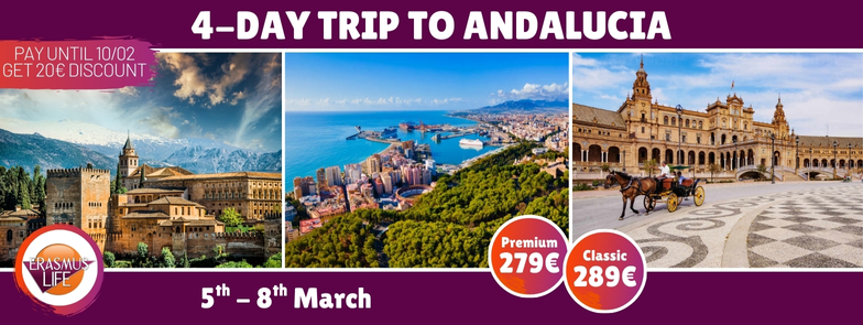 erasmus-valencia.com