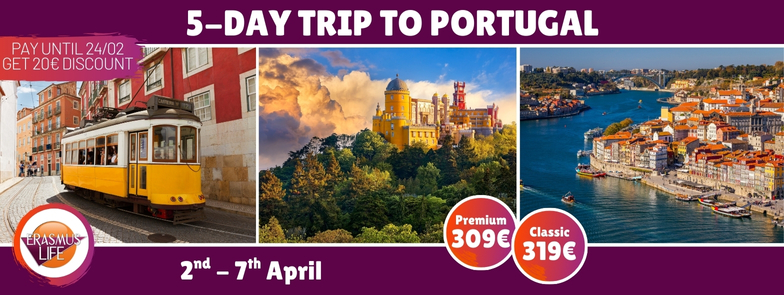 erasmus-valencia.com