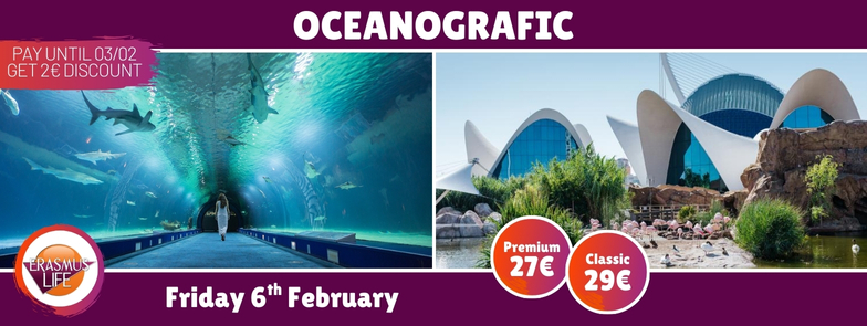 erasmus-valencia.com