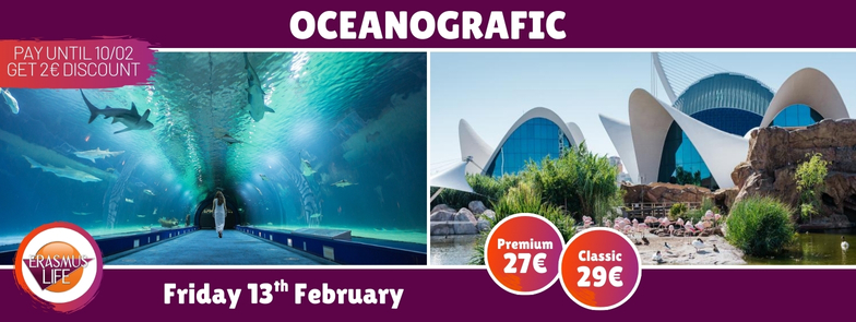 erasmus-valencia.com