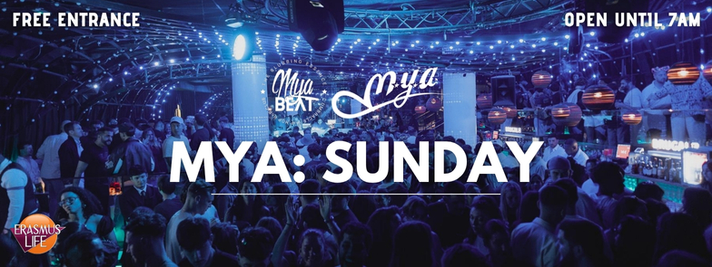 erasmus-valencia.com