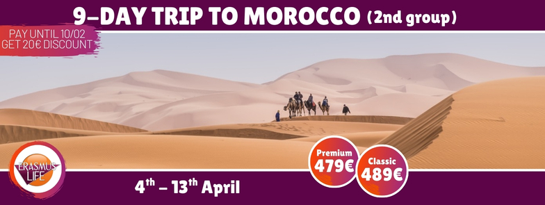 erasmus-valencia.com