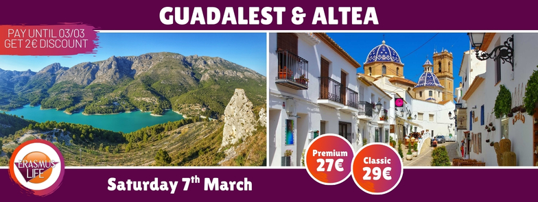 erasmus-valencia.com