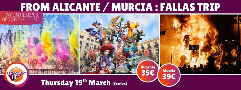 erasmus-valencia.com