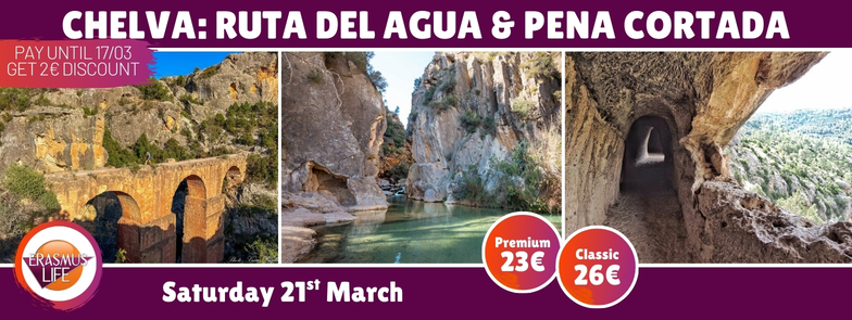 erasmus-valencia.com