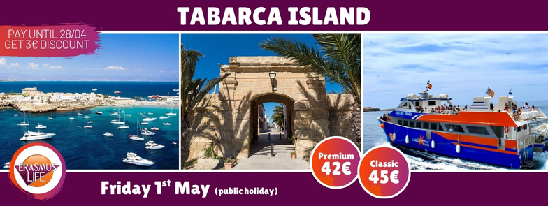 erasmus-valencia.com