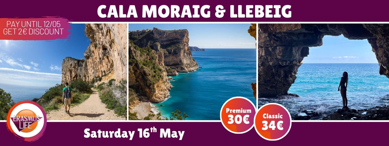 erasmus-valencia.com