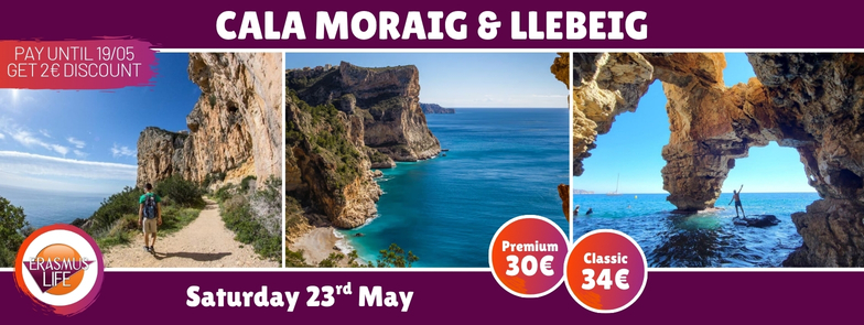 erasmus-valencia.com