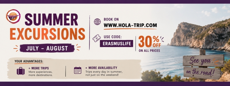 erasmus-valencia.com