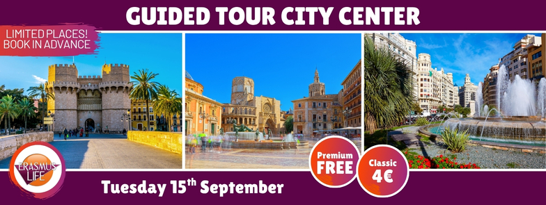 erasmus-valencia.com