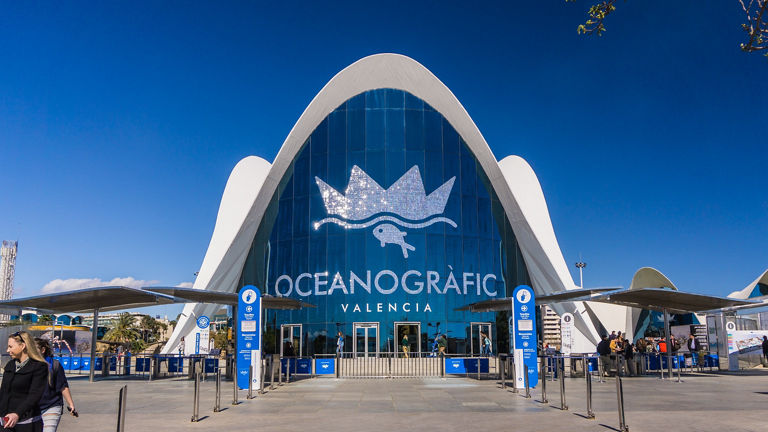 PUNTO DE ENCUENTRO: 14.00H EN LA ENTRADA DE OCEANOGRAFIC.