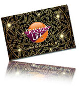 erasmus-valencia.com